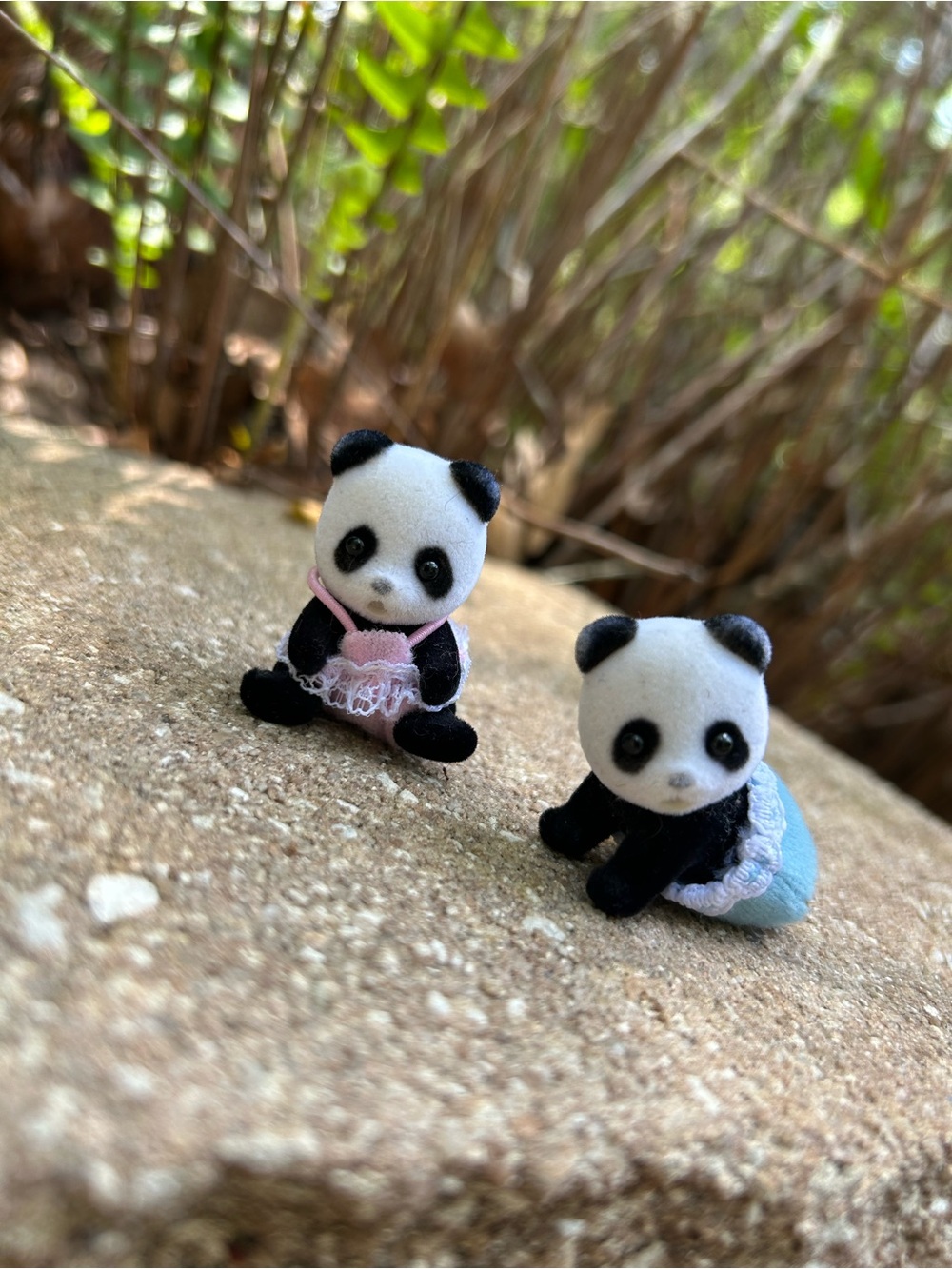 Calico Critters Panda Twins ~ - Picture 2 of 2